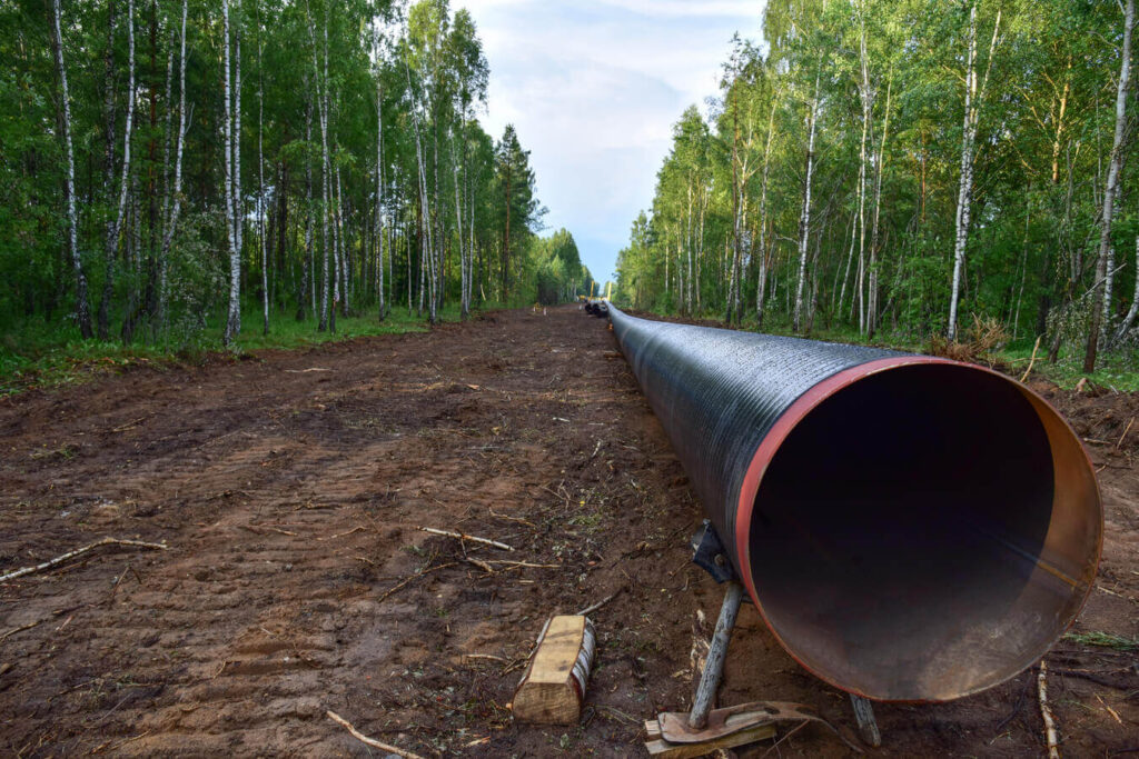 Pipeline of an oil & gas project, under assembling activities in the middle of the forest, but it seems it has been abandoned because of the coronavirus, as explain Nexua Excellence quality in this article, forced to stop all project's activities as assembling, inspection, etc...